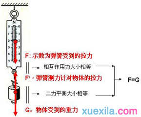 关于初中物理弹力教案