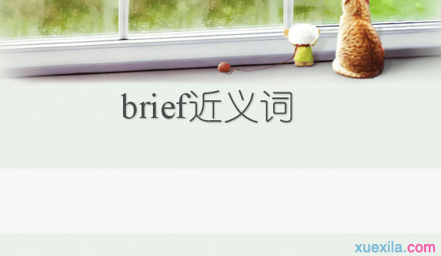 brief的近义词 brief的英文意思