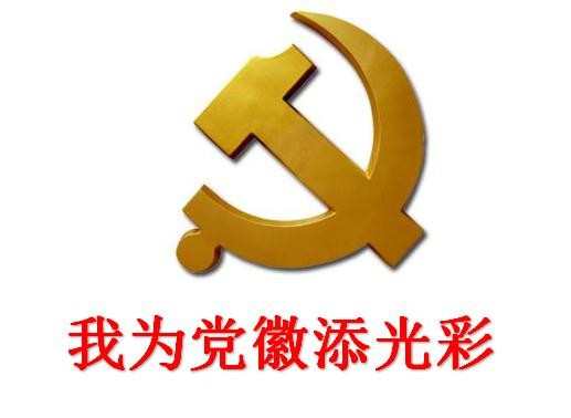 我为党徽添光彩两学一做征文 两学一做我为党添光彩征文