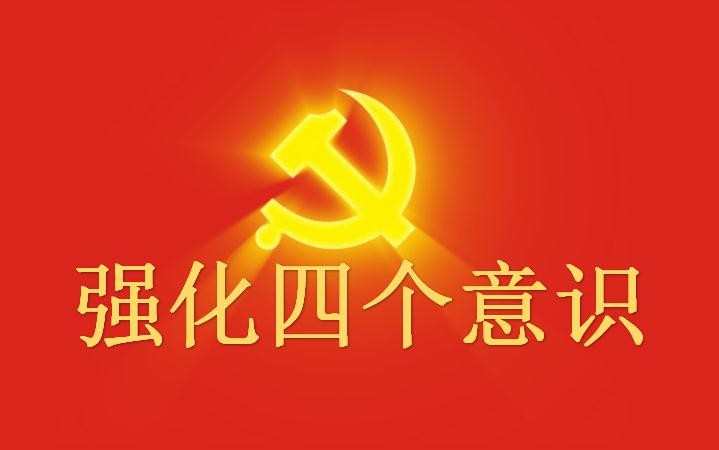 党员教师学习系列讲话强化四个意识心得体会6篇