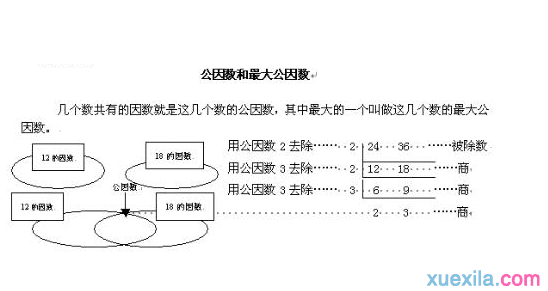 公因数与最大公因数是什么