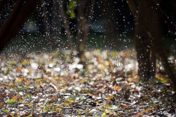 描写小雨的写景抒情散文