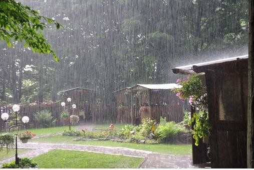 有关雨的散文_优美散文品雨