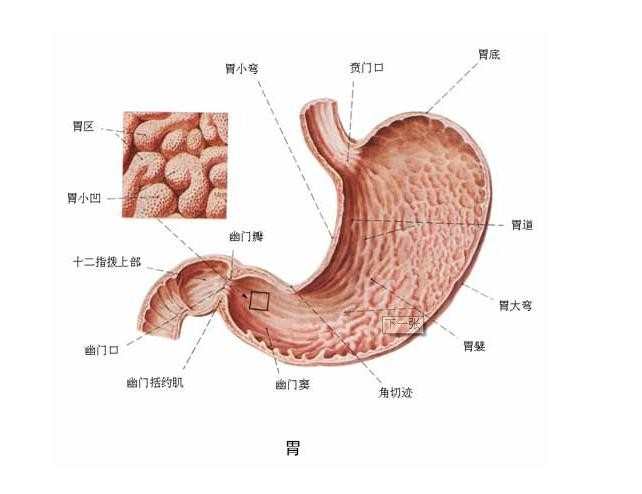 急性胃炎的原因，急性胃炎的表现