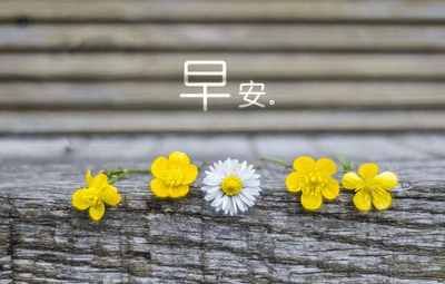 对女朋友说早安的话，对女朋友说的早安问候语