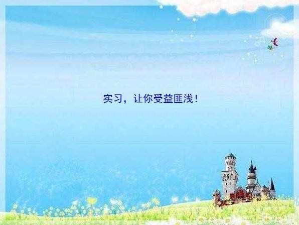 顶岗实习鉴定表实习目的和内容