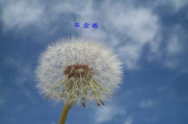 中央广播电视大学毕业生自我鉴定