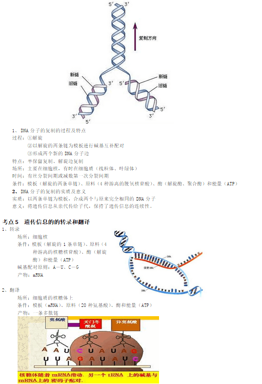 高中生物必修二考点解析