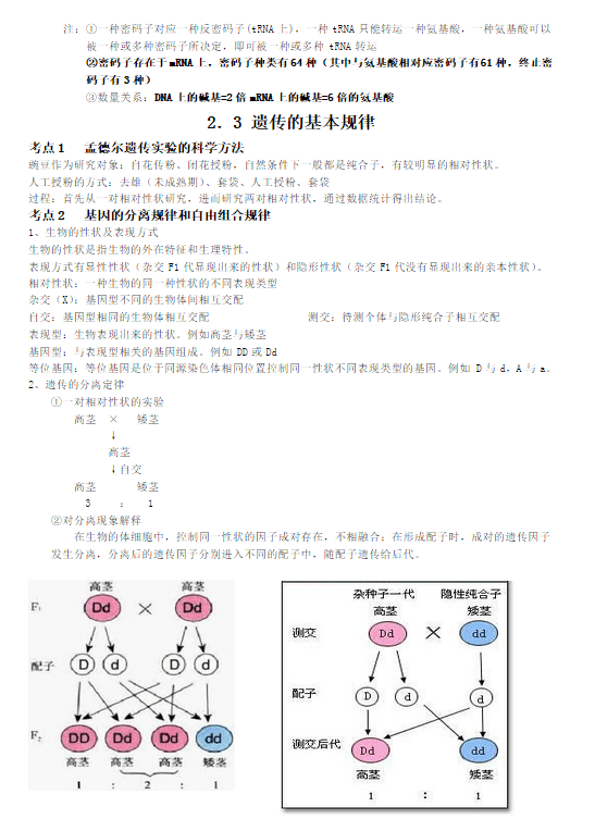 高中生物必修二考点解析