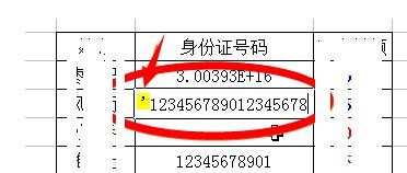 wps表格如何解决输入数据出现异常问题