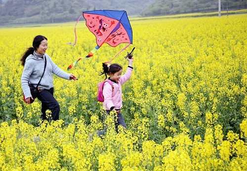 2017南京附近免费旅游景点