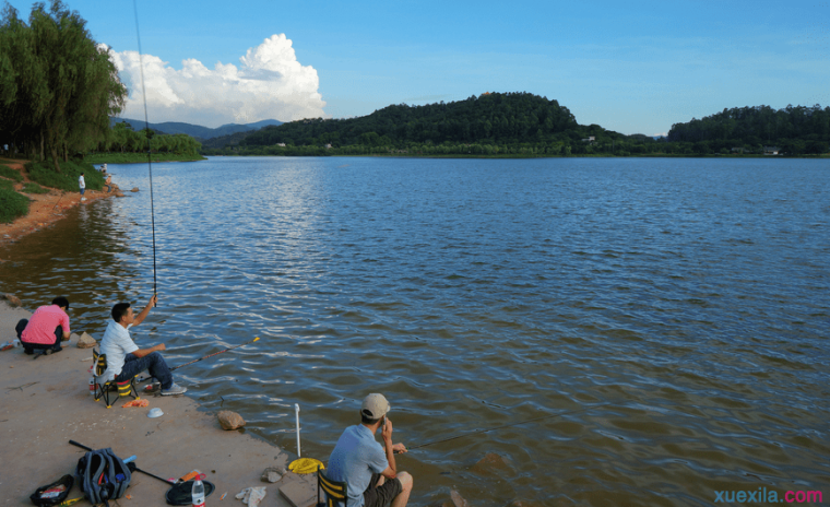 初夏如何在水库钓鲤鱼 初夏水库钓鲤鱼必备技巧