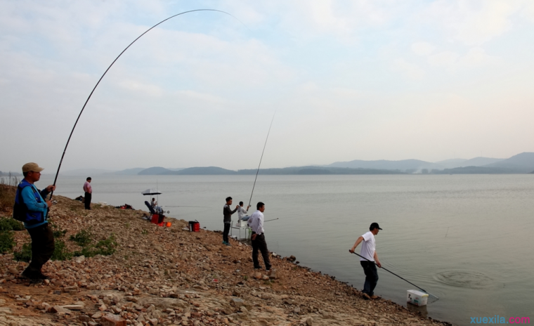 海钓鲈鱼需要哪些技巧