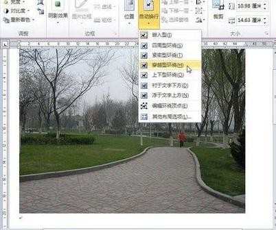 word2010怎么设置图片格式布局