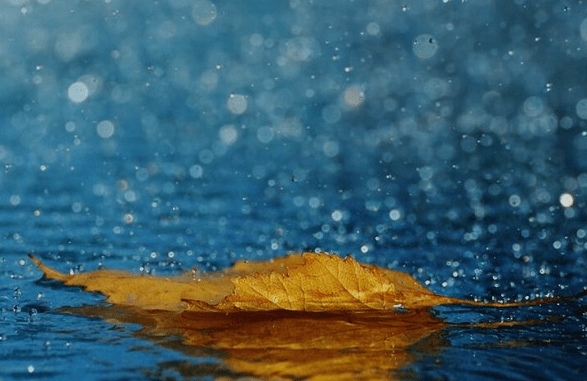 下雨日记100字大全