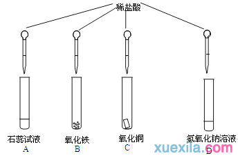 2015届上海市闸北区初三上学期期末考试化学试卷