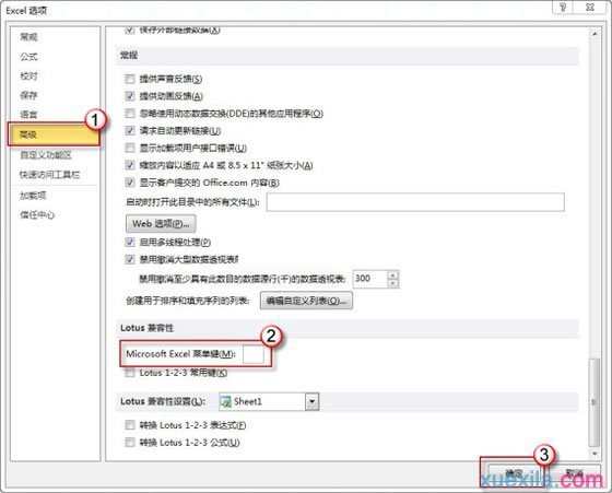 Excel2010不能输入斜杠怎么解决