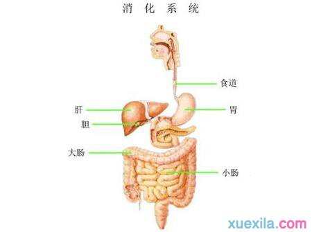 天气转凉宝宝拉肚子是怎么回事