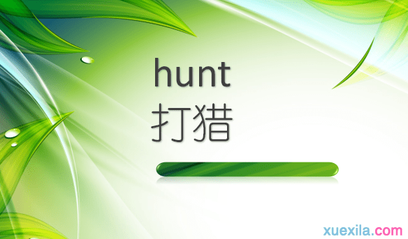 hunt是什么意思 hunt的用法