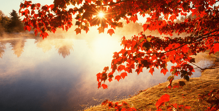 形容秋天美景的优美句子,表现秋天景色的唯美