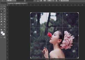 photoshop如何裁剪图像