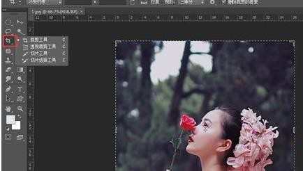 photoshop裁剪工具的用法教程