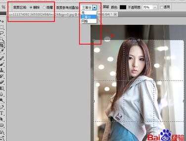 photoshop怎么使用裁剪工具