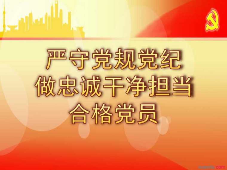 严守党规党纪+做忠诚干净担当合格党员发言稿