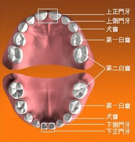 宝宝长牙晚是什么原因