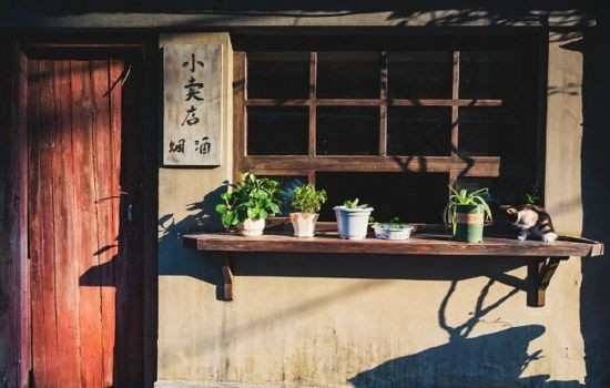 风景语录新浪博客精选