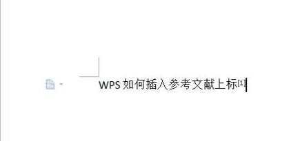 wps里怎么给文献标注上标