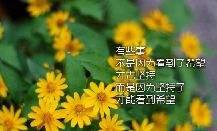 人生励志短语_励志经典句子