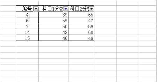 excel表格人使用筛选