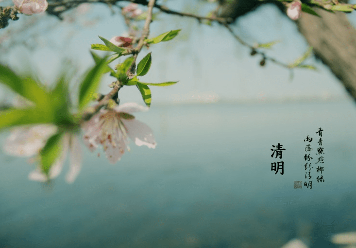 清明节扫墓日记300字