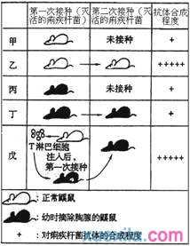 高中生物必修3人体免疫系统与稳态练习试卷