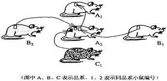 高中生物必修3人体免疫系统与稳态练习试卷