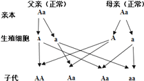 八年级下册生物遗传病和优生优育练习题