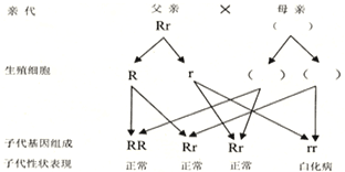 八年级下册生物遗传病和优生优育练习题