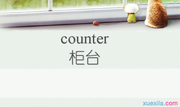 counter是什么意思 counter的用法