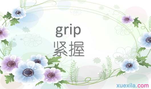 grip是什么意思 grip的用法