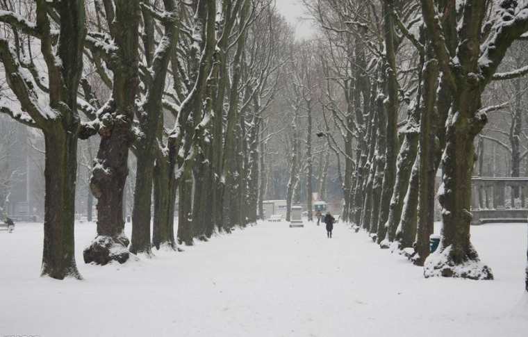 美丽的雪景作文_美丽的雪景四年级作文