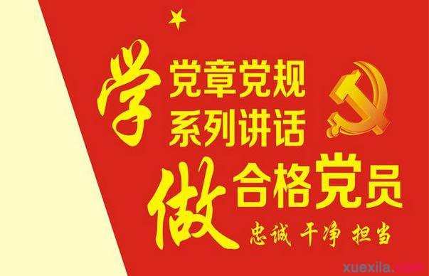 党员关于严守党章党规规范党员日常言行发言稿