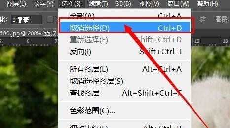 photoshop如何在图片部分区域加边框