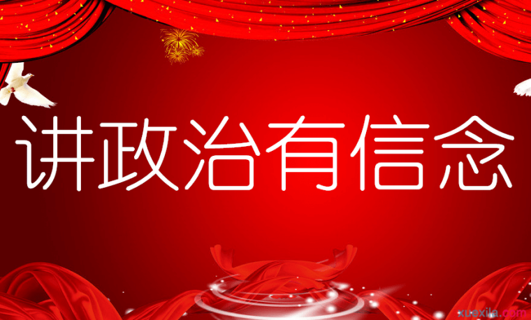 党员干部学习两学一做讲政治有信念心得体会