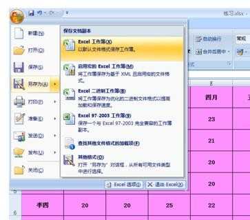 excel2007如何设置只读权限