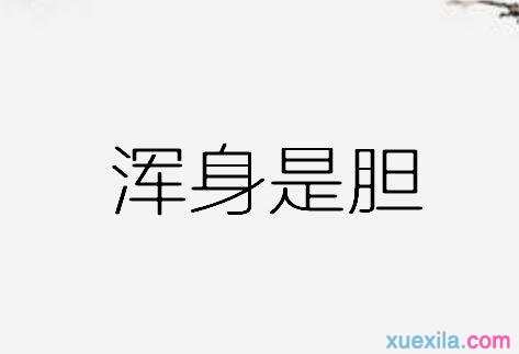 一人身上好多胆字打一成语的答案