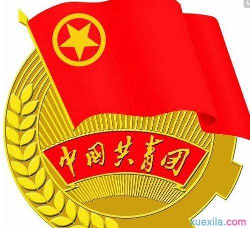 入团后心得体会