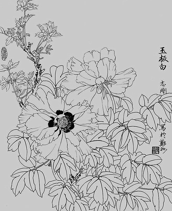 花鸟画图片简笔画_花鸟画素材简笔画