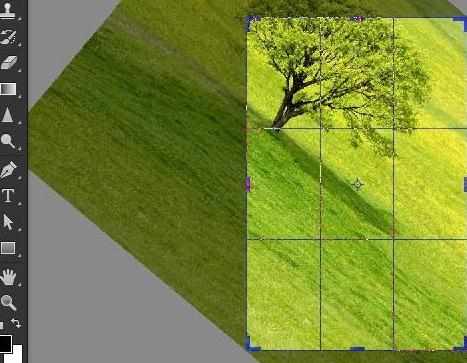 photoshop怎样用裁剪旋转图像