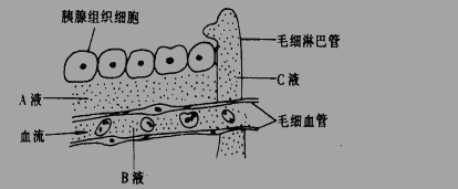 2017年高二生物必修3《生物个体的稳态》测试试题